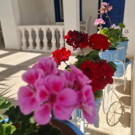 Frühstückspension Dreams Bodrum Hotel 3*