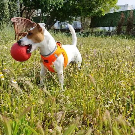 Dreams Bodrum Hotel ボドルム