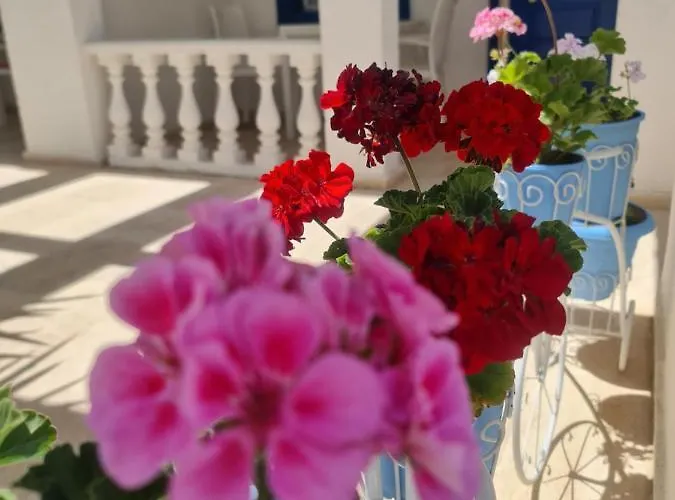 Frühstückspension Dreams Bodrum Hotel 3*