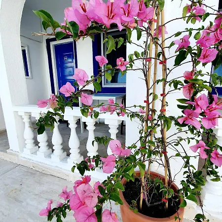 Dreams Bodrum Butik Hotel Bed & Breakfast Bodrum